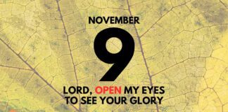 Embracing the Radiance of God’s Glory – Devotional November 9 Radiance of God’s Glory devotional November 9