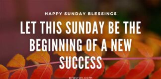 Happy Sunday Blessings – Images for Every Area of Life Happy Sunday Blessings images for Every Area of Life