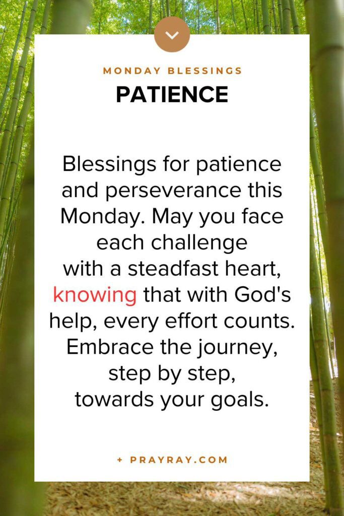 Patience and perseverance