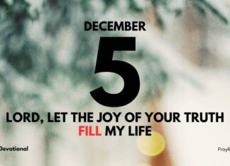 Embrace God’s Wisdom – Devotional for December 5 God's Wisdom devotional for December 5