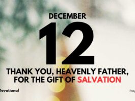 The Joy of Salvation daily Devotional for December 12