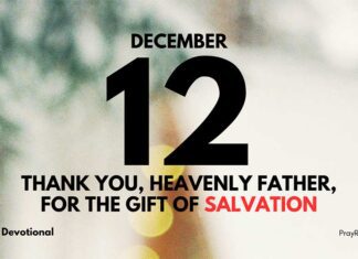 The Joy of Salvation – Daily Devotional for December 12 The Joy of Salvation daily Devotional for December 12