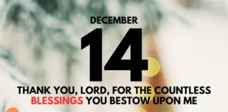 Thankfulness Each Day – Devotional for December 14 Thankfulness Each Day devotional for December 14