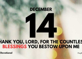 Thankfulness Each Day – Devotional for December 14 Thankfulness Each Day devotional for December 14