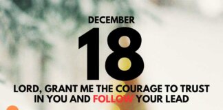 Embrace God’s Plan – Daily Devotional for December 18 Embrace God’s Plan daily Devotional for December 18