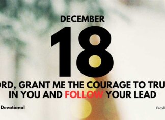 Embrace God’s Plan – Daily Devotional for December 18 Embrace God’s Plan daily Devotional for December 18