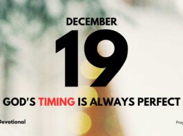 Expectation and Promise daily Devotional for December 19