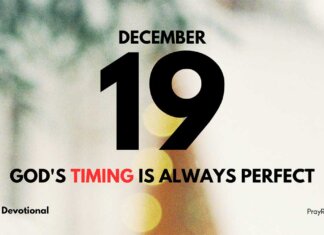 Expectation and Promise – Daily Devotional for December 19 Expectation and Promise daily Devotional for December 19