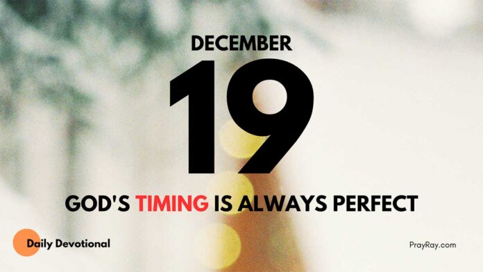 Expectation and Promise daily Devotional for December 19