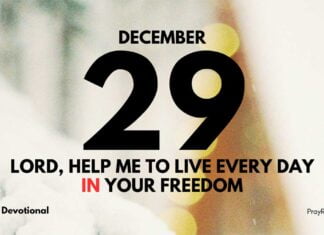 Freedom in God – Daily Devotional for December 29 Freedom in God daily Devotional for December 29