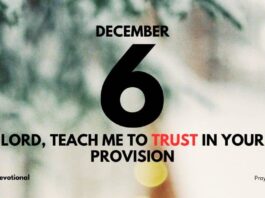 Trust God's Provision devotional for December 6