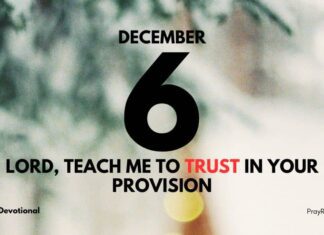 Trust God’s Provision – Daily Devotional for December 6 Trust God's Provision devotional for December 6