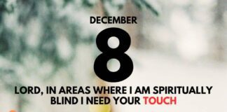 Faith in Action – Daily Devotional for December 8 Faith in action daily devotional for December 8