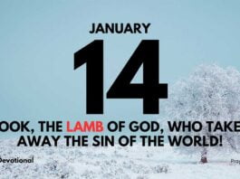 Jesus the Lamb of God devotional for January 13