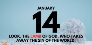 Jesus the Lamb of God – Devotional for January 14 Jesus the Lamb of God devotional for January 13
