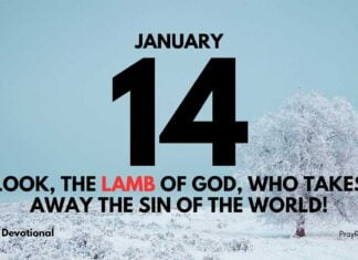 Jesus the Lamb of God – Devotional for January 14 Jesus the Lamb of God devotional for January 13
