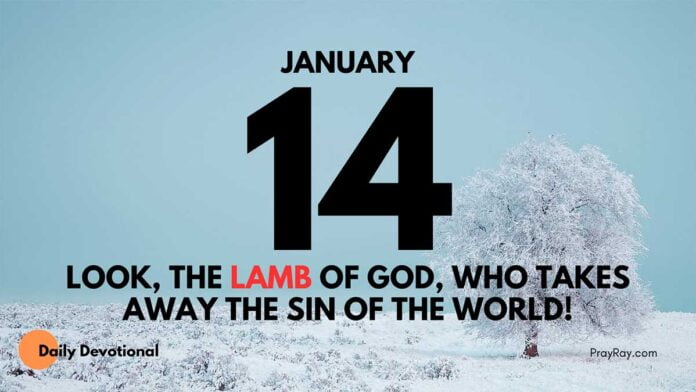 Jesus the Lamb of God devotional for January 13