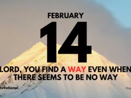 Bold Faith daily Devotional for February 14