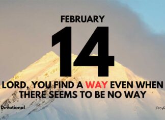 Bold Faith – Daily Devotional for February 14 Bold Faith daily Devotional for February 14