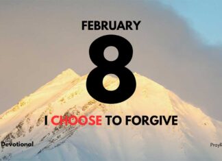Forgiveness and Freedom – Daily Devotional for February 8 Forgiveness and Freedom daily Devotional for February 8