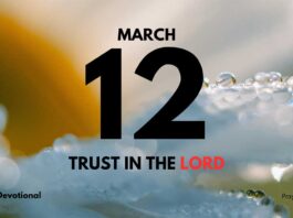 Trust Over Feelings in Trials daily Devotional for March 12