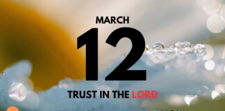 Trust Over Feelings in Trials – Daily Devotional for March 12 Trust Over Feelings in Trials daily Devotional for March 12