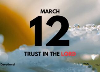 Trust Over Feelings in Trials – Daily Devotional for March 12 Trust Over Feelings in Trials daily Devotional for March 12