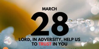 Spiritual Maturity Through Adversity – Daily Devotional for March 28 Spiritual Maturity Through Adversity daily Devotional for March 28