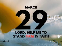 Stand Firm in Faith Over Fear daily Devotional for March 29