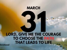 Choose the Path of True Fulfillment daily Devotional for March 31