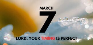 Trust God in the Face of Troubles – Daily Devotional for March 7 Trust God in the Face of Troubles daily Devotional for March 7