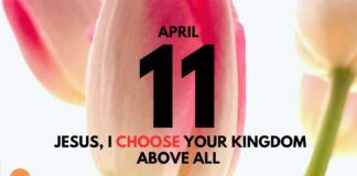 The Courage to Stand Firm – Daily Devotional for April 11 The Courage to Stand Firm daily Devotional for April 11
