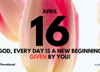 Transforming Disappointment into Hope – Daily Devotional April 16 Transforming Disappointment into Hope daily Devotional April 16