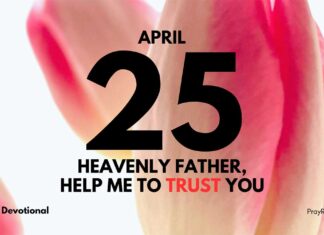 Find Joy in What You Have – Daily Devotional for April 25 Find Joy in What You Have daily Devotional for April 25