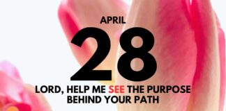 The Purpose of God’s Guidance – Daily Devotional for April 28 The Purpose of God's Guidance daily Devotional for April 28