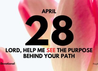 The Purpose of God’s Guidance – Daily Devotional for April 28 The Purpose of God's Guidance daily Devotional for April 28