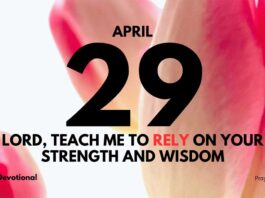 Finally, Start Trusting God daily Devotional for April 29