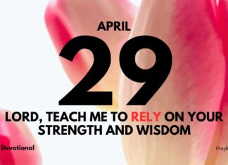 Finally, Start Trusting God – Daily Devotional for April 29 Finally, Start Trusting God daily Devotional for April 29