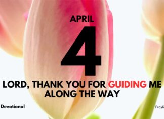 Emotions vs. Godly Wisdom – Daily Devotional for April 4 Emotions vs Godly Wisdom Daily Devotional for April 4