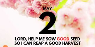 Reaping Heavenly Rewards – Daily Devotional for May 2 Reaping Heavenly Rewards daily Devotional for May 2