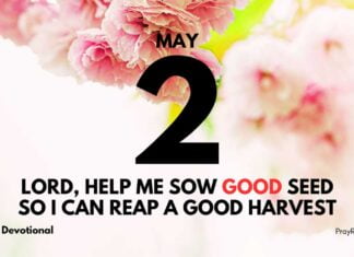 Reaping Heavenly Rewards – Daily Devotional for May 2 Reaping Heavenly Rewards daily Devotional for May 2