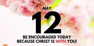 The Stability of Faith – Daily Devotional for May 12 Stability of Faith daily Devotional for May 12