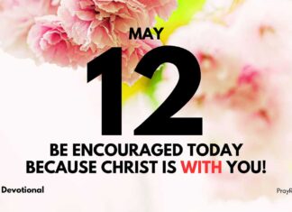 The Stability of Faith – Daily Devotional for May 12 Stability of Faith daily Devotional for May 12