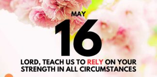 Lessons from the Fig Tree – Daily Devotional for May 16 Lessons from the Fig Tree daily Devotional for May 16