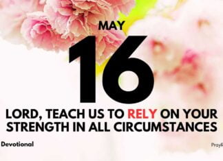 Lessons from the Fig Tree – Daily Devotional for May 16 Lessons from the Fig Tree daily Devotional for May 16