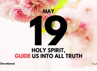 How the Holy Spirit Works – Daily Devotional for May 19 How the Holy Spirit Works daily Devotional for May 19
