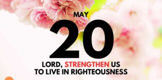 God’s Grace in Action – Daily Devotional for May 20 God's Grace in Action daily Devotional for May 20
