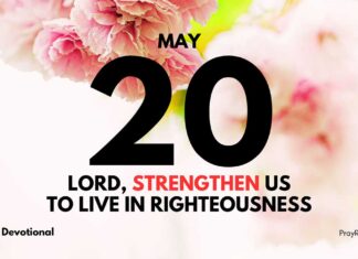 God’s Grace in Action – Daily Devotional for May 20 God's Grace in Action daily Devotional for May 20