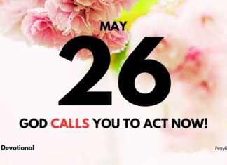 Embrace Responsibility – Daily Devotional for May 26 Embrace Responsibility daily Devotional for May 26