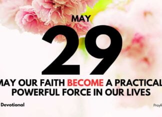 Heart Knowledge vs. Head Knowledge – Daily Devotional May 29 Heart Knowledge vs. Head Knowledge daily Devotional May 29